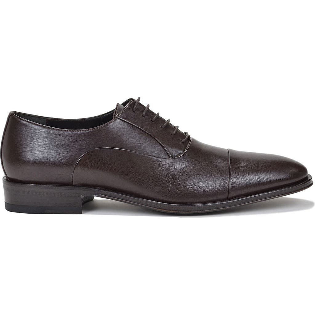 Bruno Magli Maioco Cap Toe Oxford In Dark Brown Leather