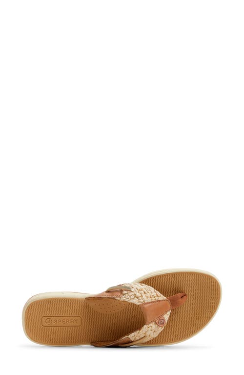 Sperry 'parrotfish' Thong Sandal