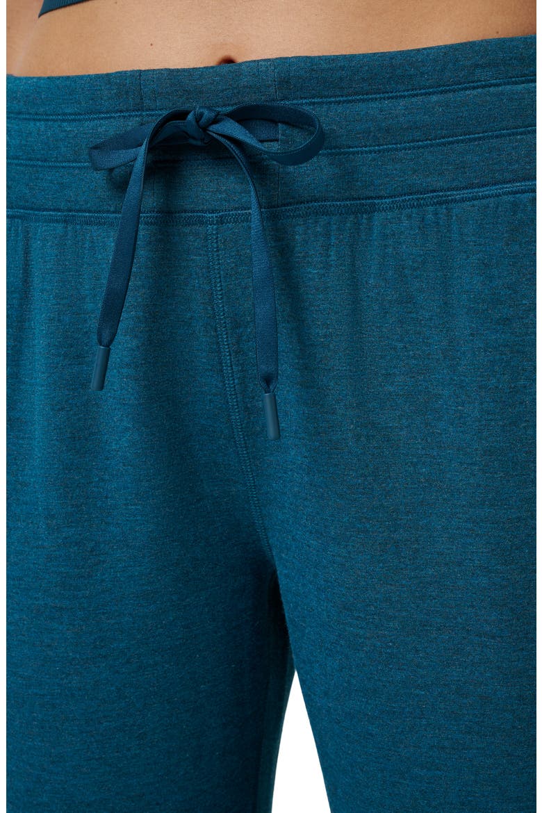Skyloft Soft Ankle Pants, Alternate, color, HEATHER REFLECTING POND