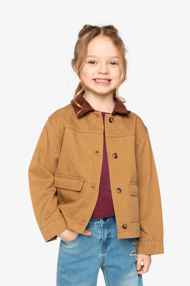 Barn Button Front Ribbed Collar Twill Jacket, Alternate, color, Brown Printed Thrush