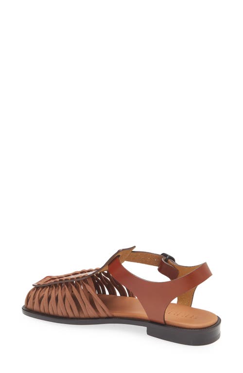 Hereu Alaro Ankle Strap Sandal In Brown