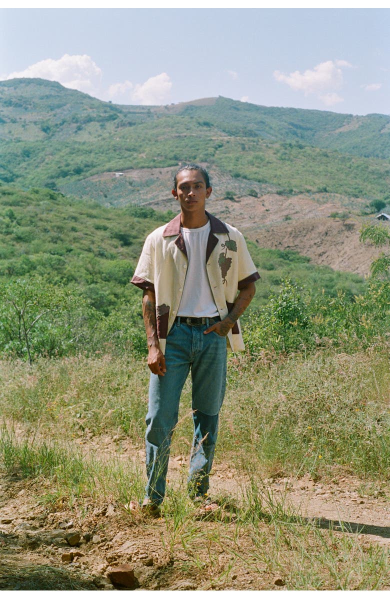 Tombolo 'Tombarolo' Cabana, Alternate, color, Wine