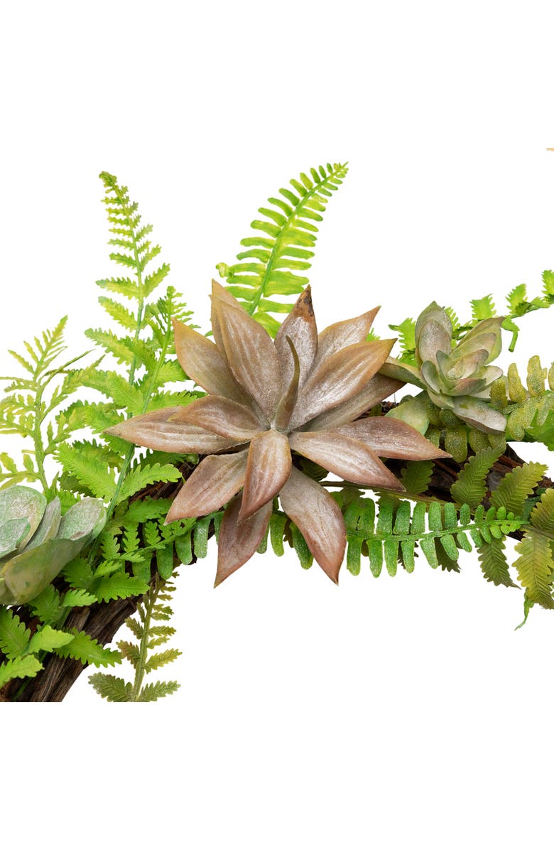 Northlight Succulents and Foliage Artificial Spring Twig Wreath, Green - 22-Inch, Alternate, color, Green