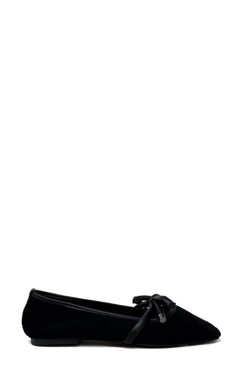 Shushop Adriana Square Toe Ballet Flat In Black