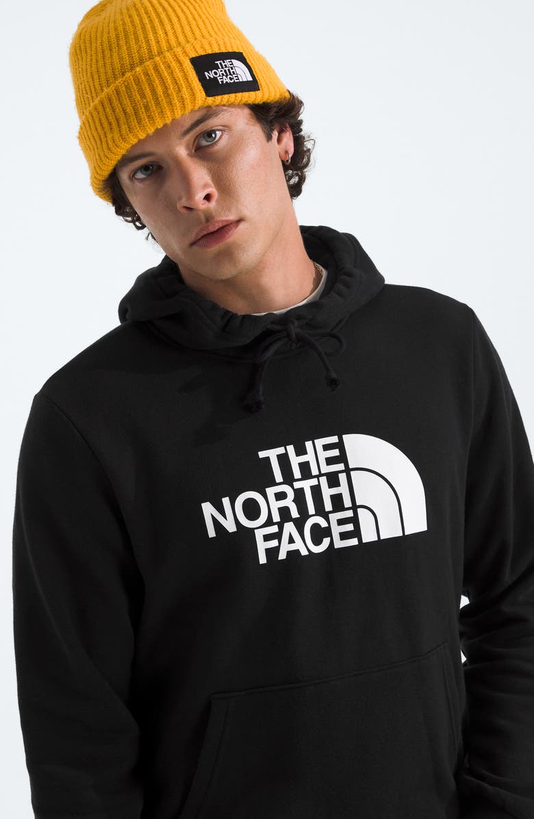 The North Face Evolution Half Dome Pullover Hoodie, Alternate, color, 