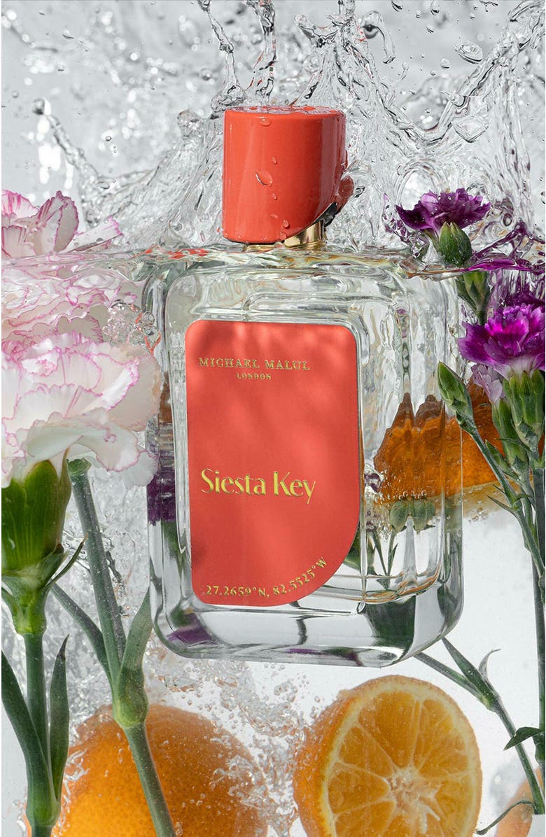 Michael Malul Siesta Key, Alternate, color, NO COLOR