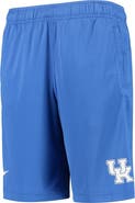 Nike Youth Nike Royal Logo Fly Performance Shorts