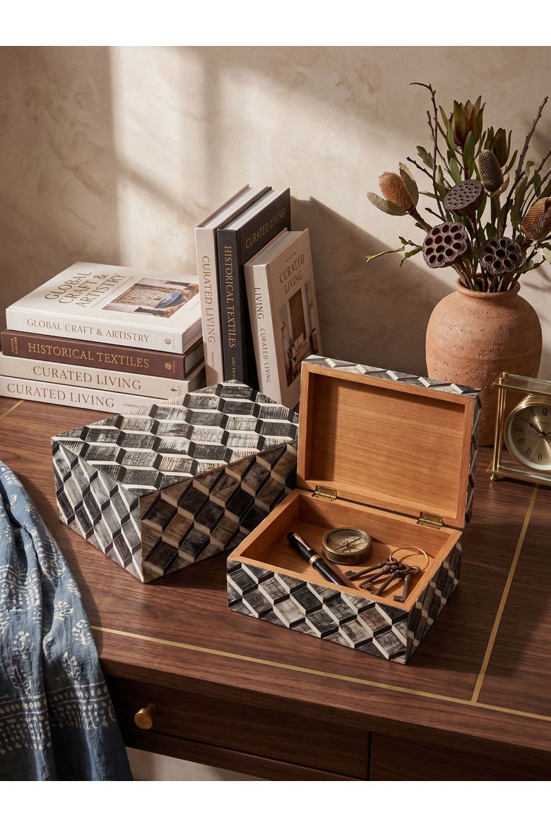 Leela Decorative Boxes, Set of 2, Alternate, color, Brown
