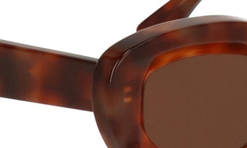 Cult Gaia X Thierry Lasry Jazz 47mm Oval Sunglasses In Brown