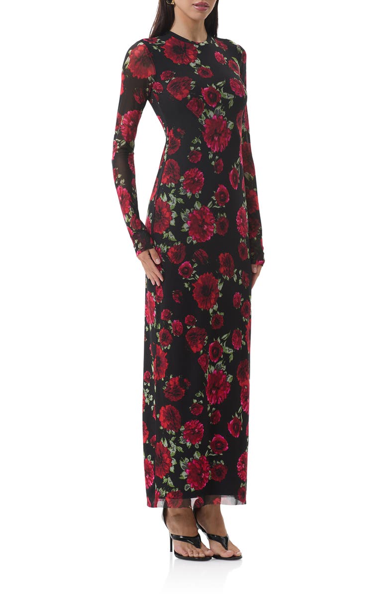 AFRM Didi Printed Long Sleeve Mesh Maxi Dress, Alternate, color, Painted Roses