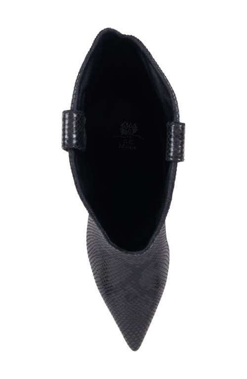 Good Choice New York Thalia Kitten Heel Tall Boot In Black