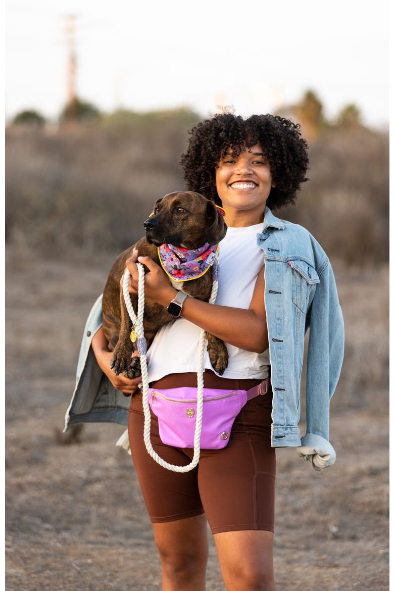 Vera Pet Bandana, Alternate, color, Vera