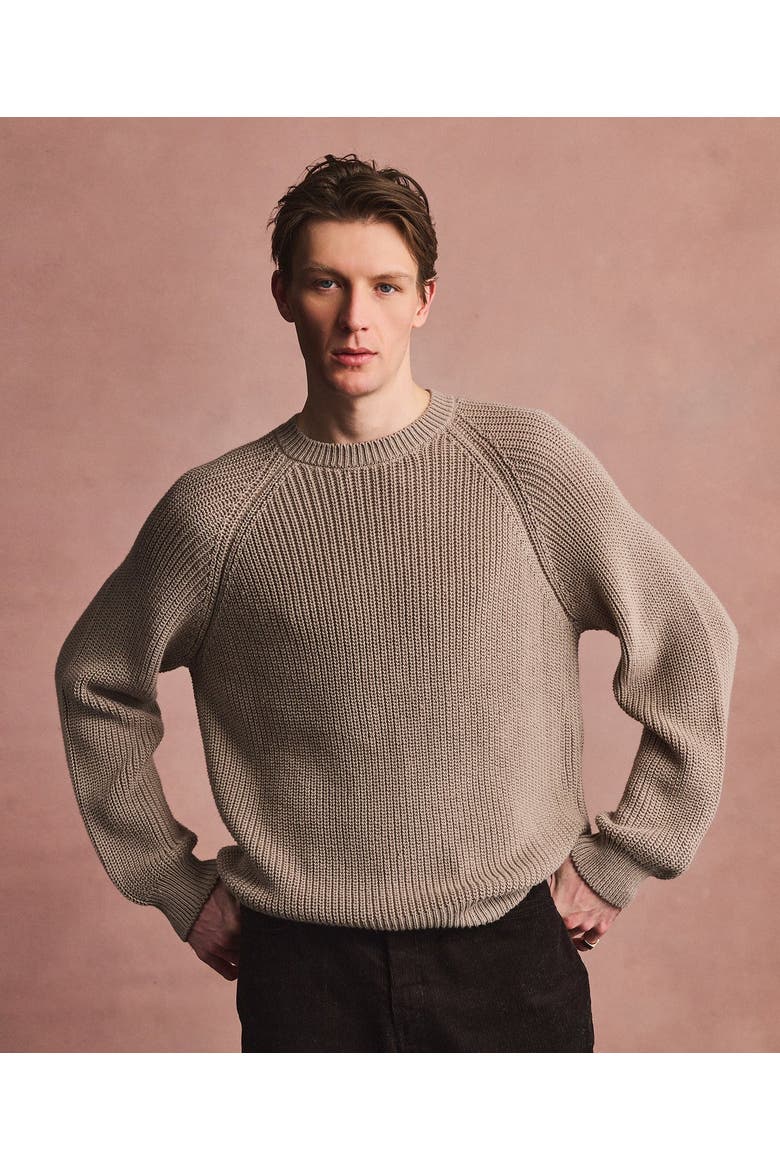 Cotton Fisherman Raglan Crewneck Sweater, Alternate, color, Sand