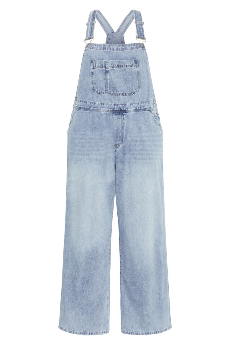 Straight Leg Overalls, Alternate, color, LIGHT DENIM