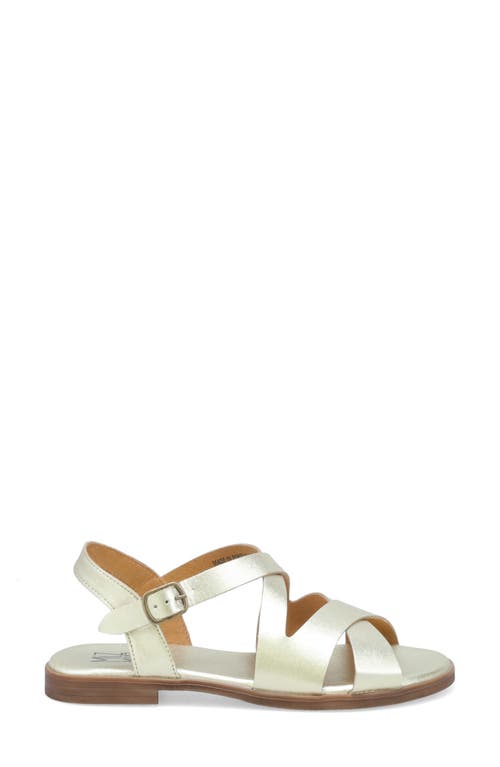 Miz Mooz Lilium Ankle Strap Sandal In Gold