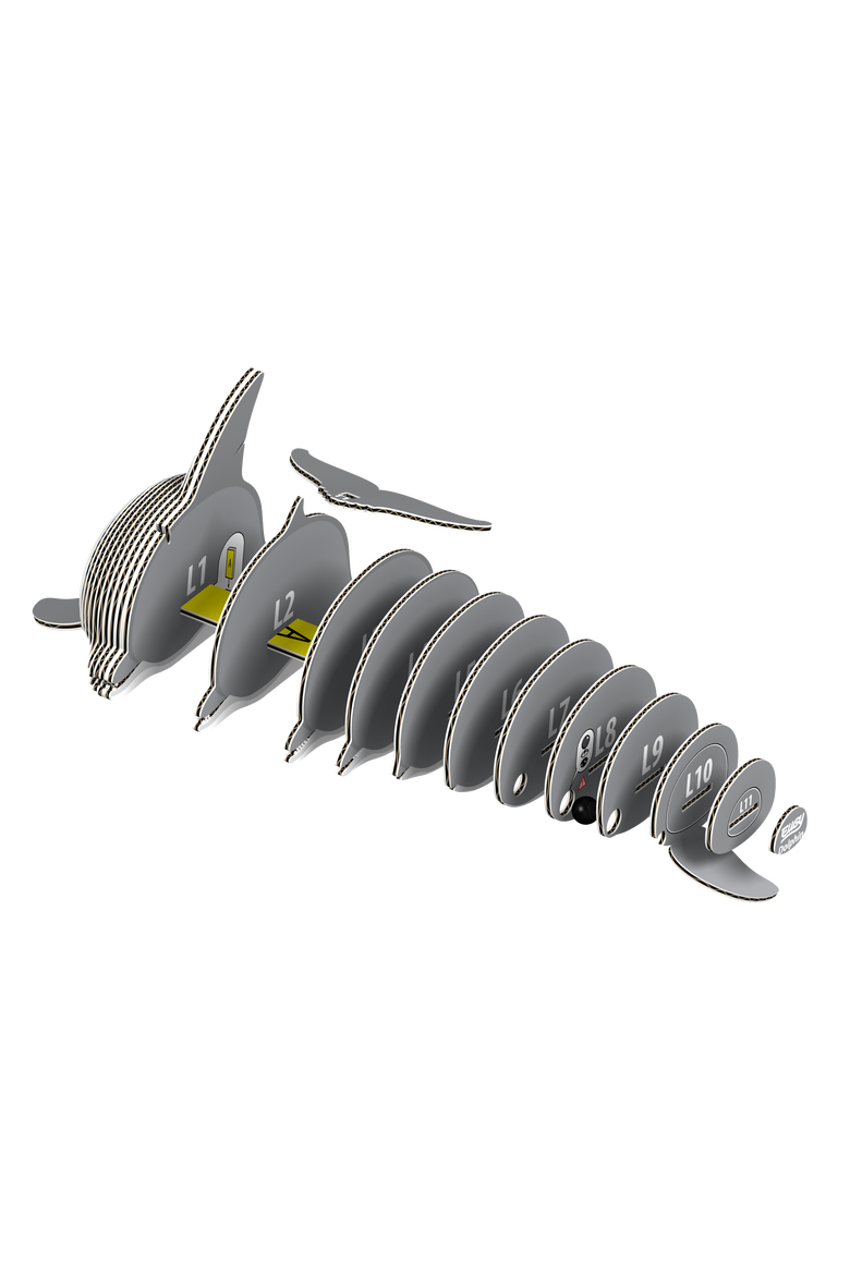 Dolphin 3D Puzzle, Alternate, color, No Color