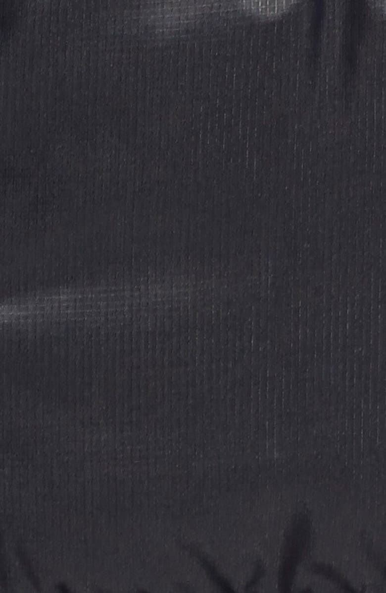 The North Face 'Polar Journey' Hooded Goose Down Parka, Alternate, color, 