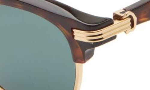 Cartier Core Range Sonnenbrille In Havana