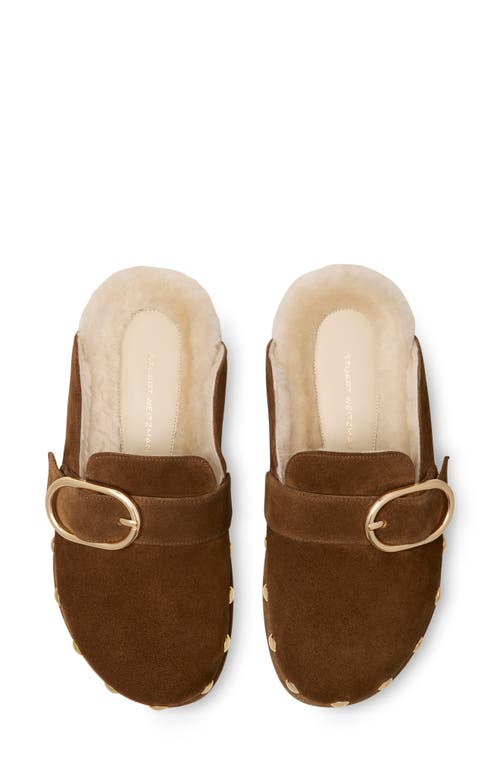 Stuart Weitzman Studded Faux Shearling Lined Mule In Brown