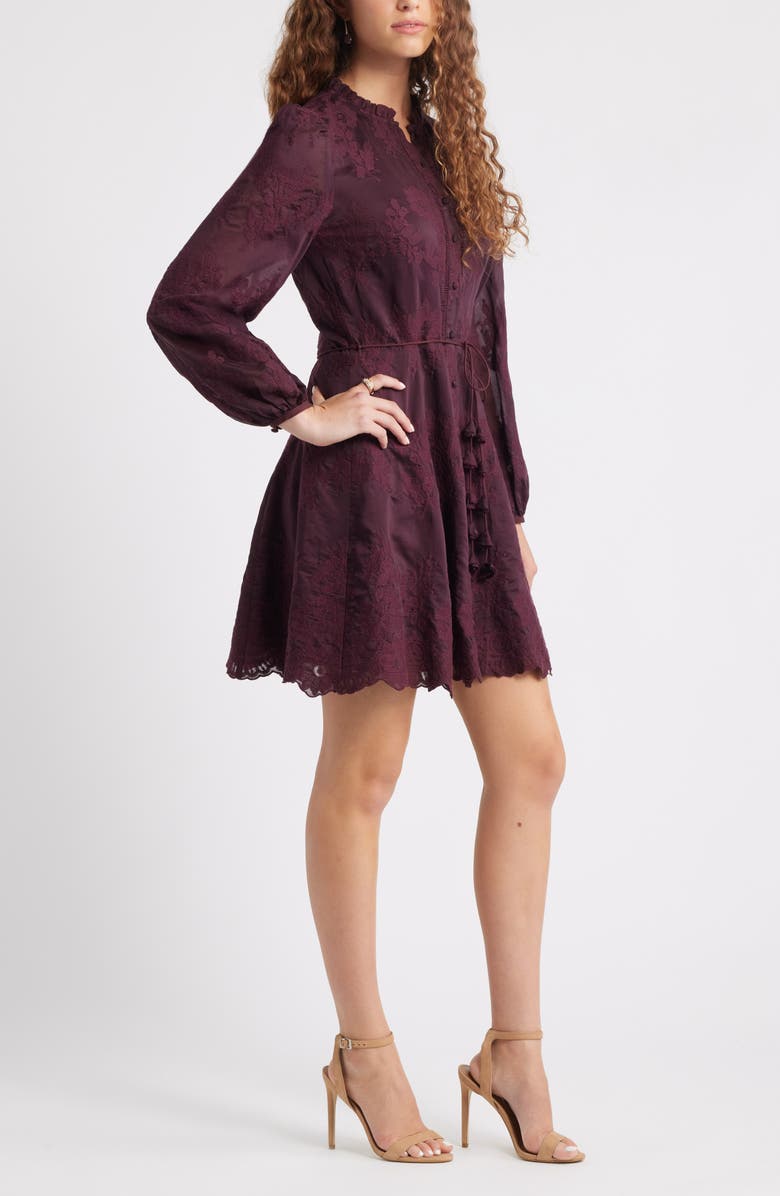 Ruffle Collar Embroidered Long Sleeve Dress
