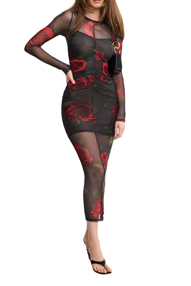Ruched Long Sleeve Mesh Maxi Dress, Main, color, MOODY RED ROSES001