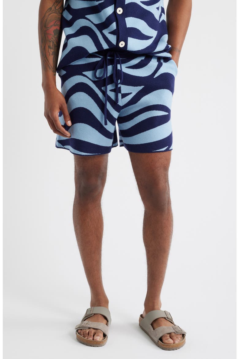 Wave Knit Shorts, Main, color, BLUE