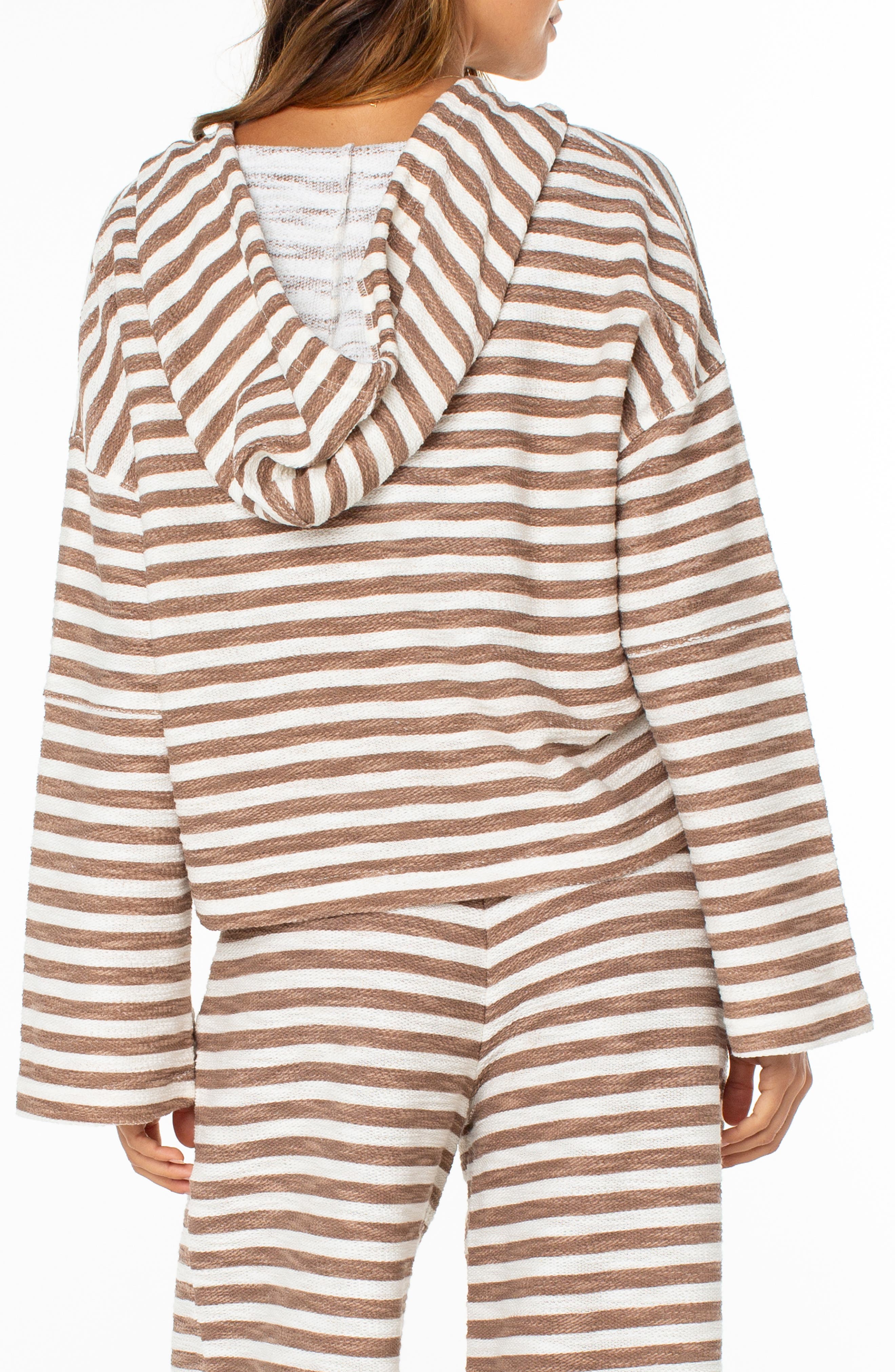 Rich Coast Stripe Hooded Sweatshirt - image 2
