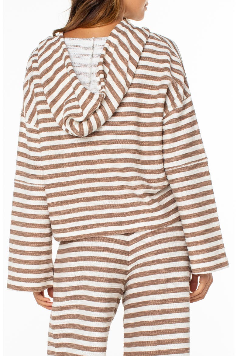 Rich Coast Stripe Hooded Sweatshirt, Alternate, color, BROWNIE