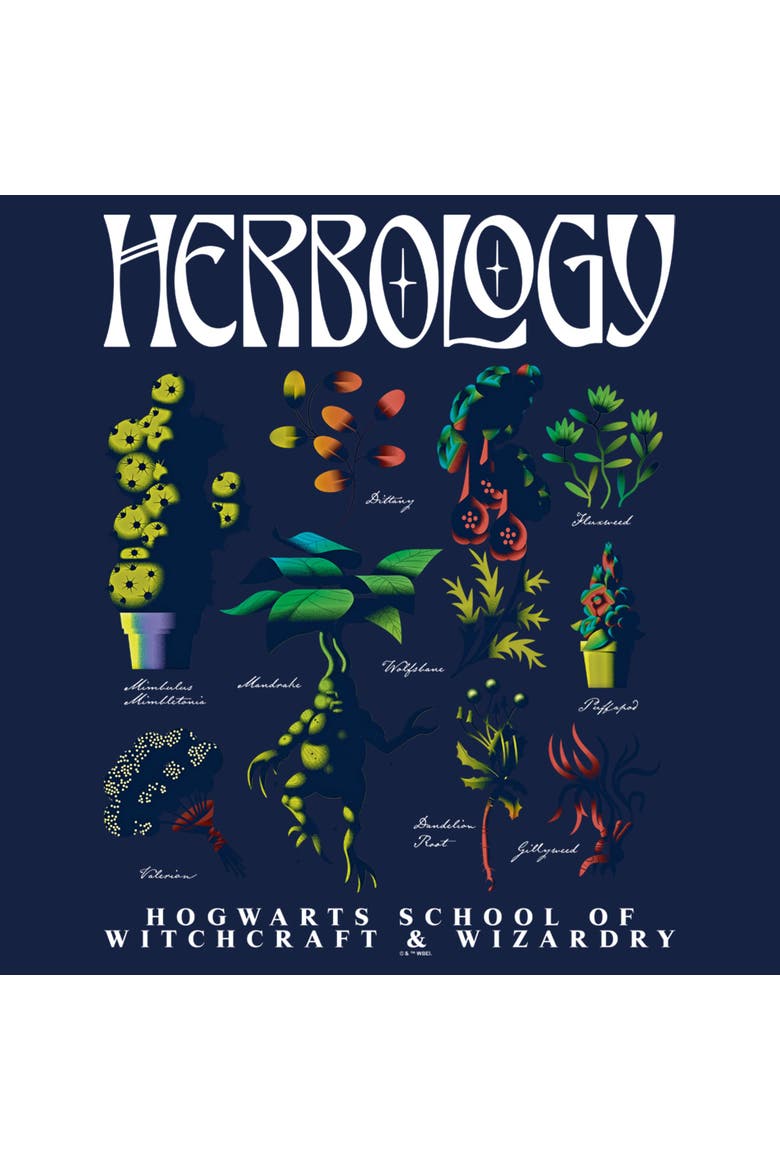 Men's Harry Potter Herbology Flash Sheet  Graphic T-Shirt, Alternate, color, Navy Blue