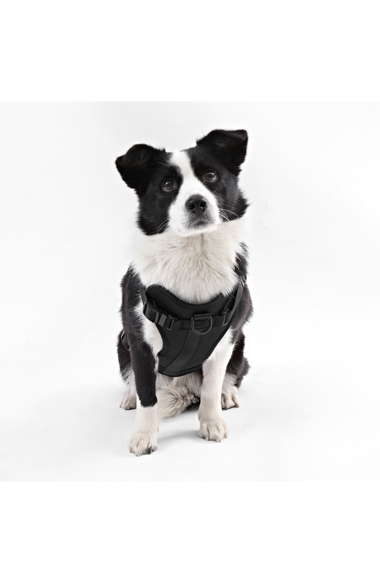 The Licker Store Arlo Adjustable Soft Padded No Pull Pet Harness with 3 Buckles and 3 Leash Clips, Alternate, color, Black