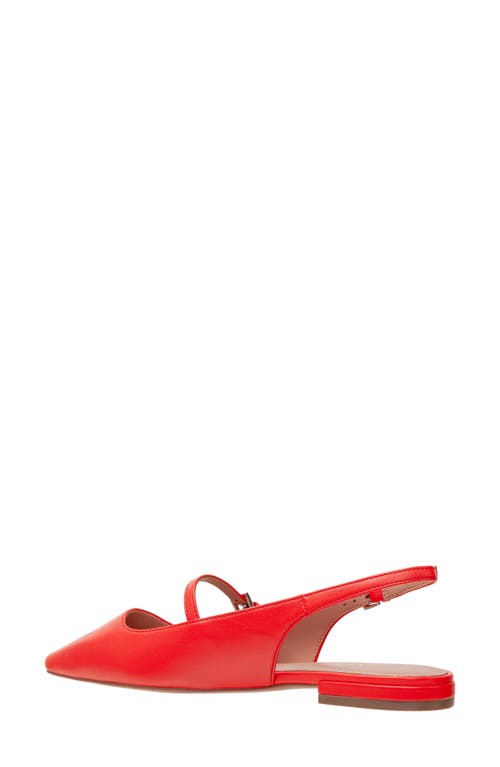 Linea Paolo Celeste Slingback Pointed Toe Flat In Red