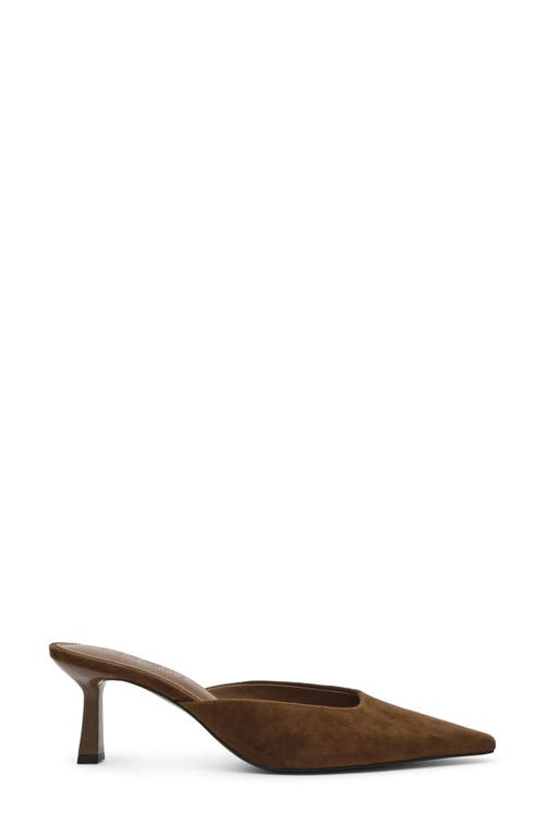 Steve Madden Lisbeth Pointed Toe Mule
