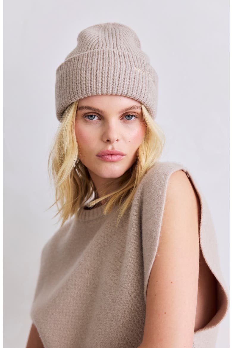 The Embroidered Merino Wool Beanie, Alternate, color, SOFT TAUPE