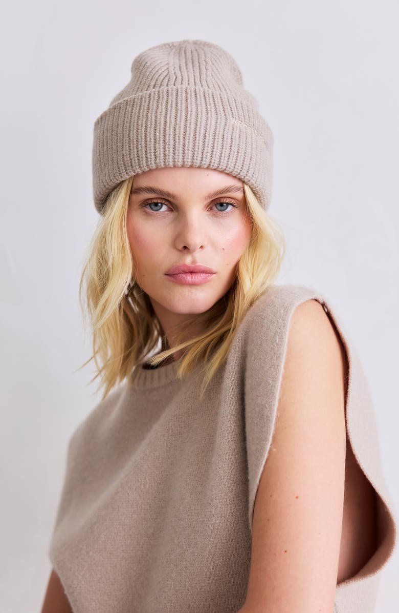 Arctic Fox & Co The Embroidered Merino Wool Beanie, Alternate, color, Soft Taupe