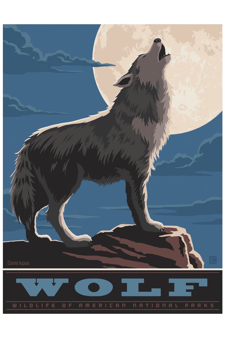 Wolf 300 Piece Jigsaw Puzzle, Alternate, color, Multicolor