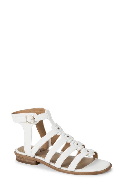 Baretraps Nathalia Gladiator Sandal In White Leather