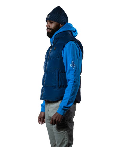 Woodpecker Unisex Vest In Blue