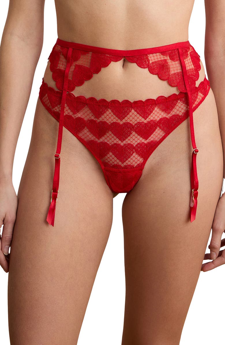 Etam Desir Heart Embroidered Garter Belt, Main, color, Red