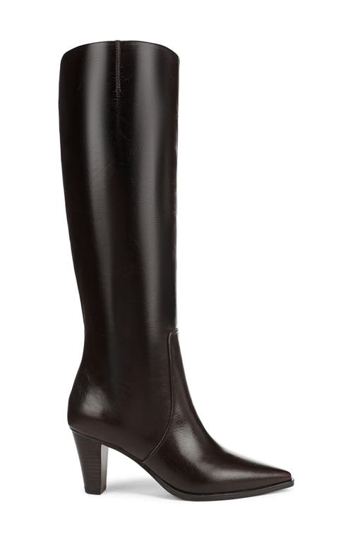 Franco Sarto Jaycen Knee High Boot In Brown