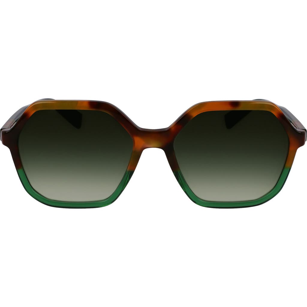 Longchamp Heritage 56mm Gradient Modified Rectangular Sunglasses In Brown Green Havana/green