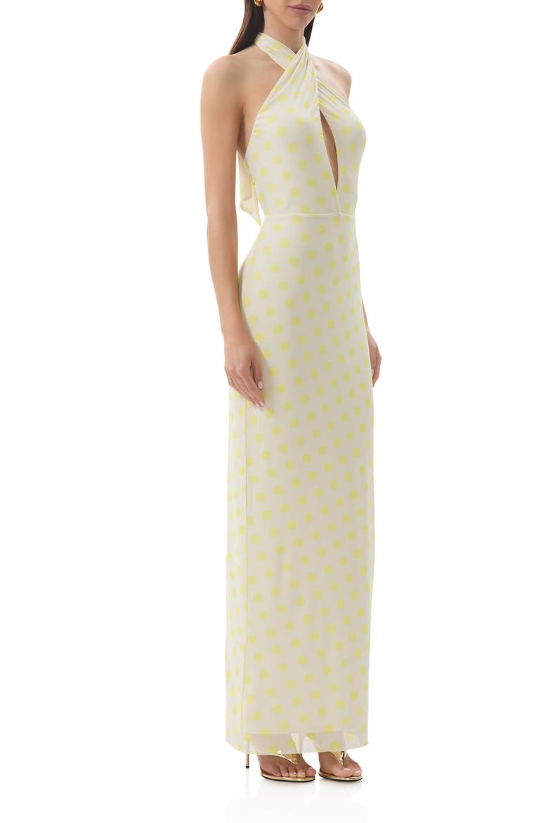 Genie Yellow Polka Dot Cutout Mesh Halter Maxi Dress, Alternate, color, SUN DOT