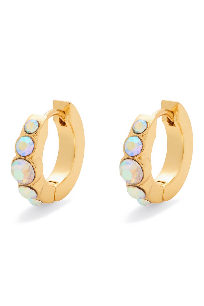 Stone Huggie Hoop Earrings, Main, color, CRYSTAL