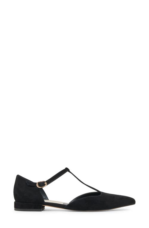 Dolce Vita Peaty T-strap Pointed Toe Flat In Black