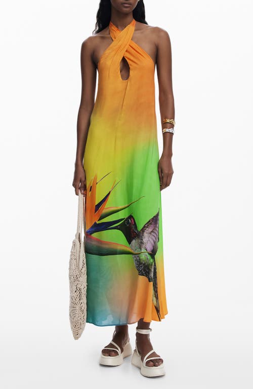 Desigual Halter Maxi Cover-up Dress In Orange Multi