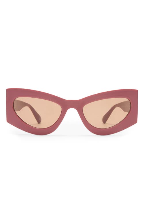 Aire Electra 49mm Small Cat Eye Sunglasses In Terracotta/hazel Tint