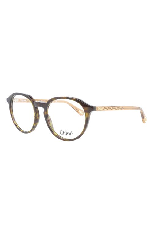 Chloé Round-frame Bio Acetate Optical Frames In Havana Brown Transparent