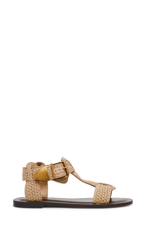 Shop Steve Madden Brazinn Gladiator Sandal