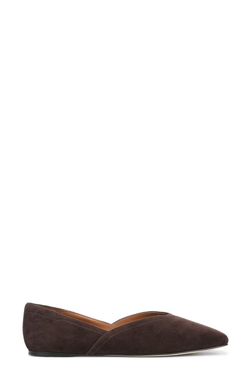Sarto By Franco Sarto Adalina Ballet Flat In Brown