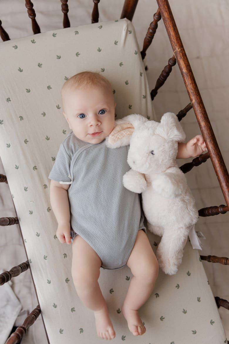 Organic Cotton Amore Pointelle Collection - Romper, Alternate, color, Blue/Silver
