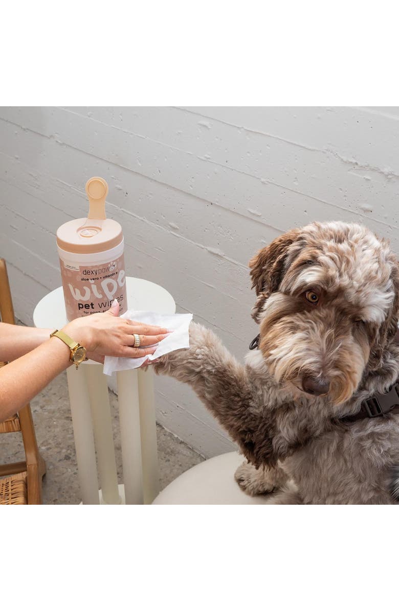 Dexypaws Pet Wipes 200Ct Canister For Grooming Care, Alternate, color, White